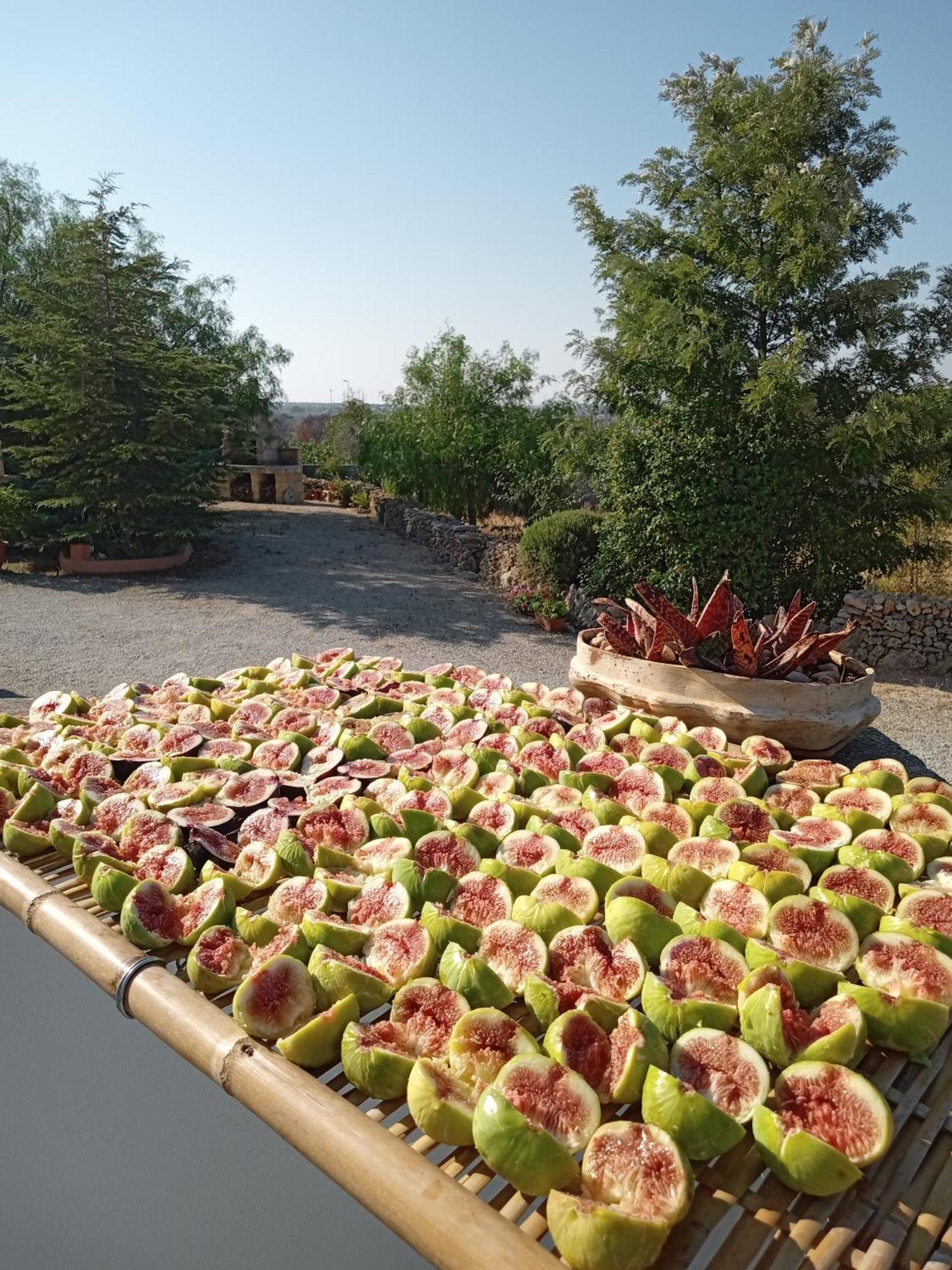 Oniro Specchia Bed & Breakfast Exterior photo