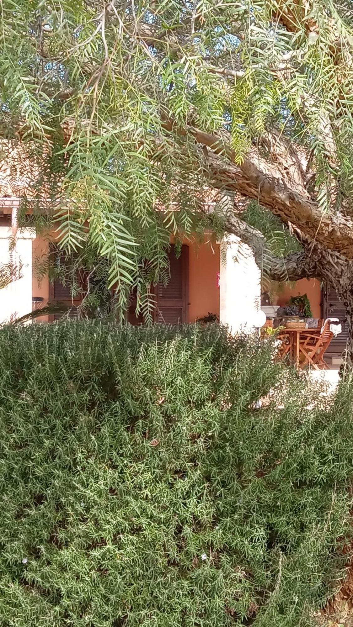 Oniro Specchia Bed & Breakfast Exterior photo